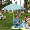 AMMSUN 5ft Kids Beach Umbrella for Picnic, Water Table, Sand Box Sun Shade | Durable Children Seaside Umbrella, UV Protection UPF50+, Ideal for sand play, beach, camping, garden and outdoor fun(5ft Green Crab)